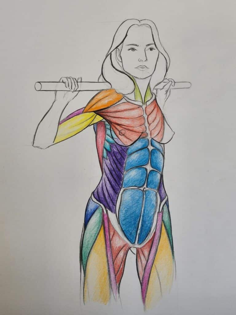 Dessin de nu académique réalisé d’après modèle vivant