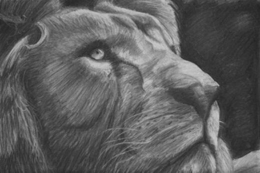 Cours intensif de dessin et peinture pour adolescent et adultes à Grasse 06