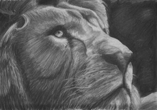 Cours&#x20;intensif&#x20;de&#x20;dessin&#x20;et&#x20;peinture&#x20;pour&#x20;adolescent&#x20;et&#x20;adultes&#x20;&#x00E0;&#x20;Grasse&#x20;06