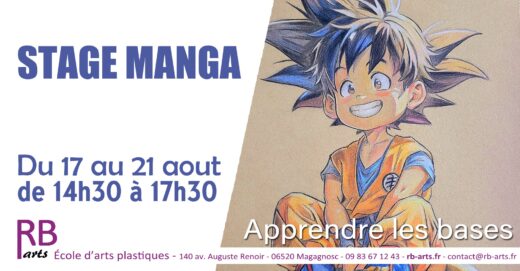 Stage de manga à Grasse – découvrir les bases du manga