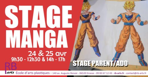 Stage manga parent-enfant à Grasse : partagez votre passion du dessin en famille