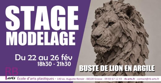 Stage de modelage à Grasse : réalisez un buste de lion en argile