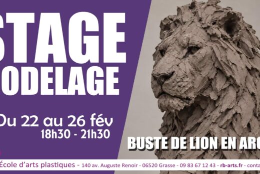 Stage de modelage à Grasse : réalisez un buste de lion en argile