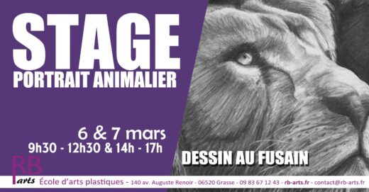 Stage de portrait animalier au fusain à Grasse : apprendre le dessin animalier