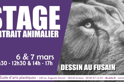 Stage de portrait animalier au fusain à Grasse : apprendre le dessin animalier